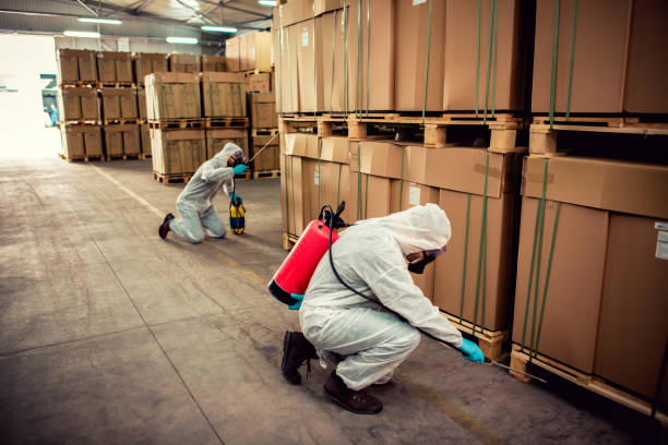 Best Wildlife Control Services  in Stlman Valley, IL