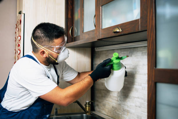 Best Rat Extermination Near Me  in Stlman Valley, IL