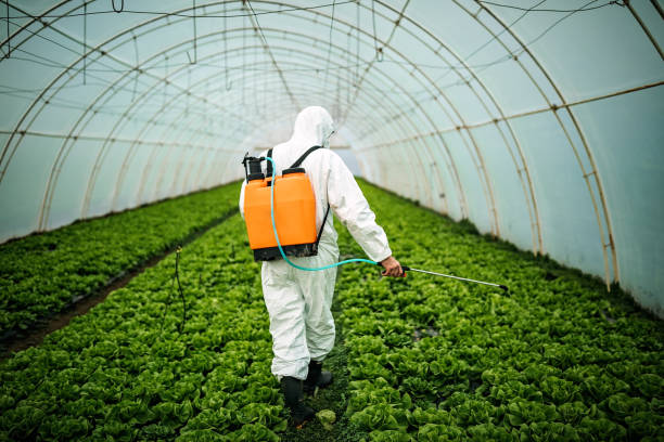 Best Mosquito Control Services  in Stlman Valley, IL