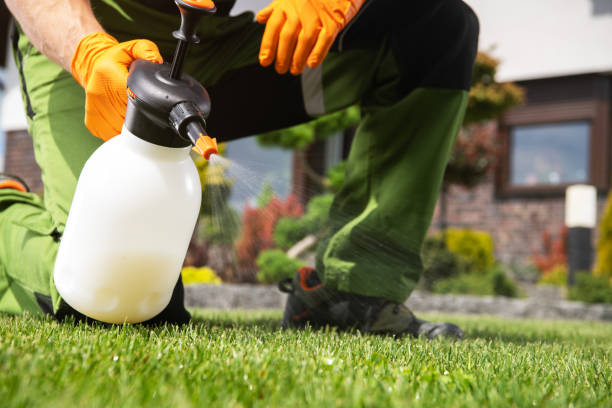 Best Exterminator Services  in Stlman Valley, IL