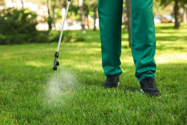 Best Residential Pest Control  in Stlman Valley, IL
