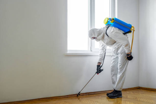 Best Cockroach Control Services  in Stlman Valley, IL