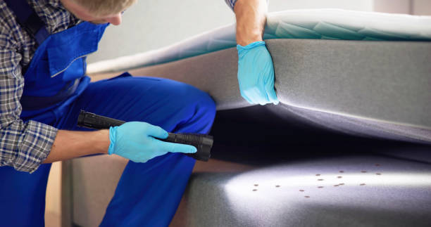 Best Emergency Pest Control  in Stlman Valley, IL