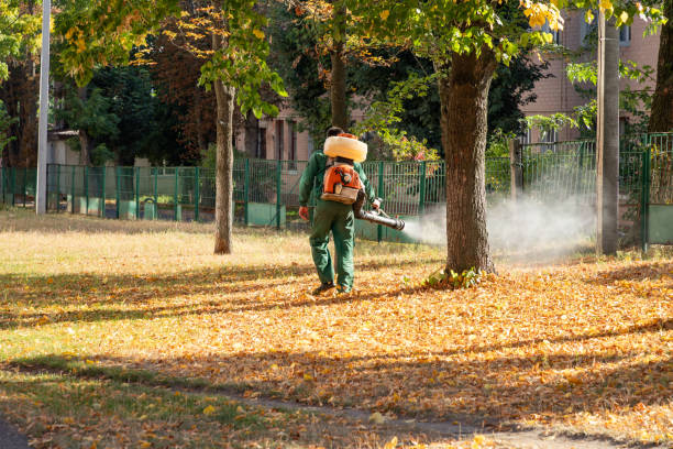 Best Rat Extermination Near Me  in Stlman Valley, IL